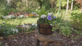 Wooden Seasonal Barrel with Mixed Plants – Moss Finish Planter