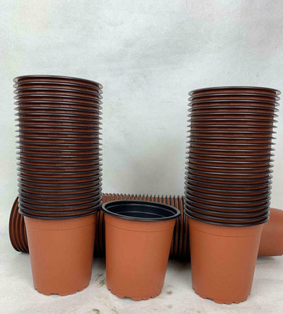 Plant Pots 9cm x 100