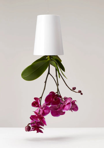 Boskke Sky Planter Recycled Hanging Planter (3 Sizes)