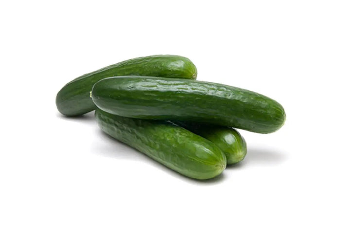 Cucumber Mini 9cm Pots x 3