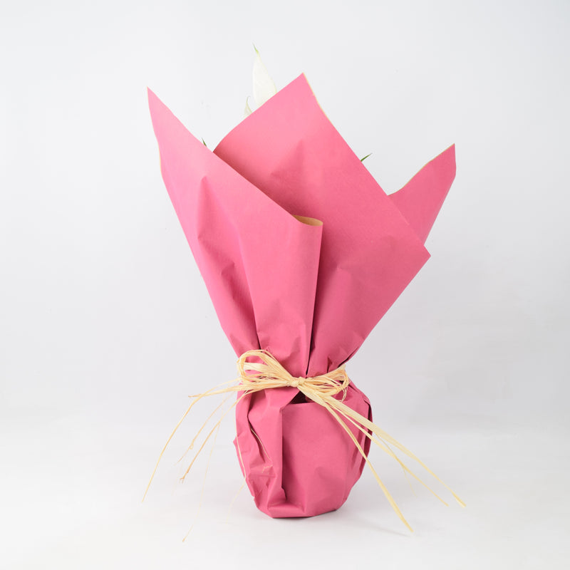 Gift Wrap