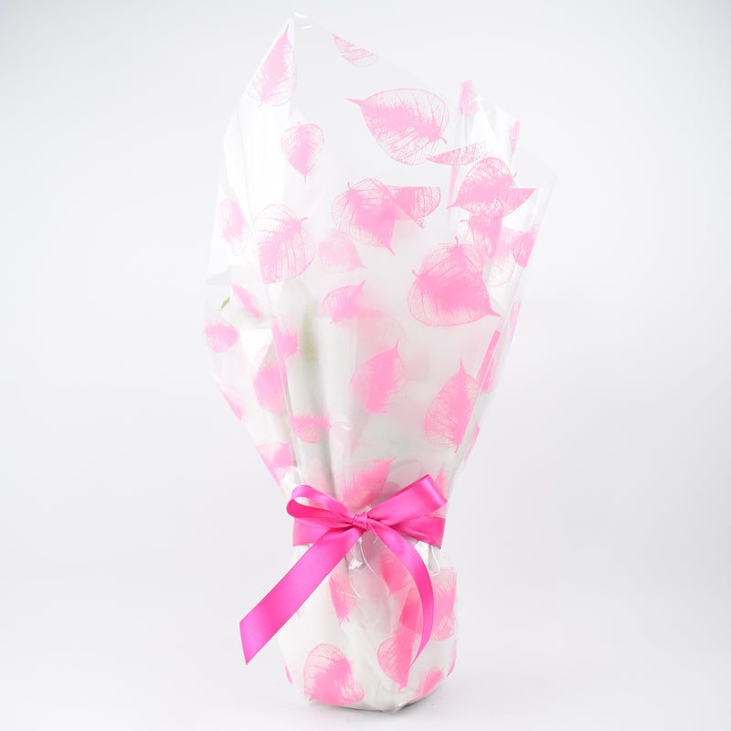 Gift Wrap