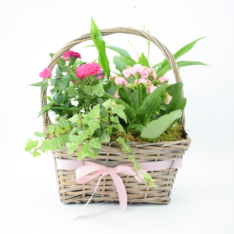 Mothers Day Planted Basket