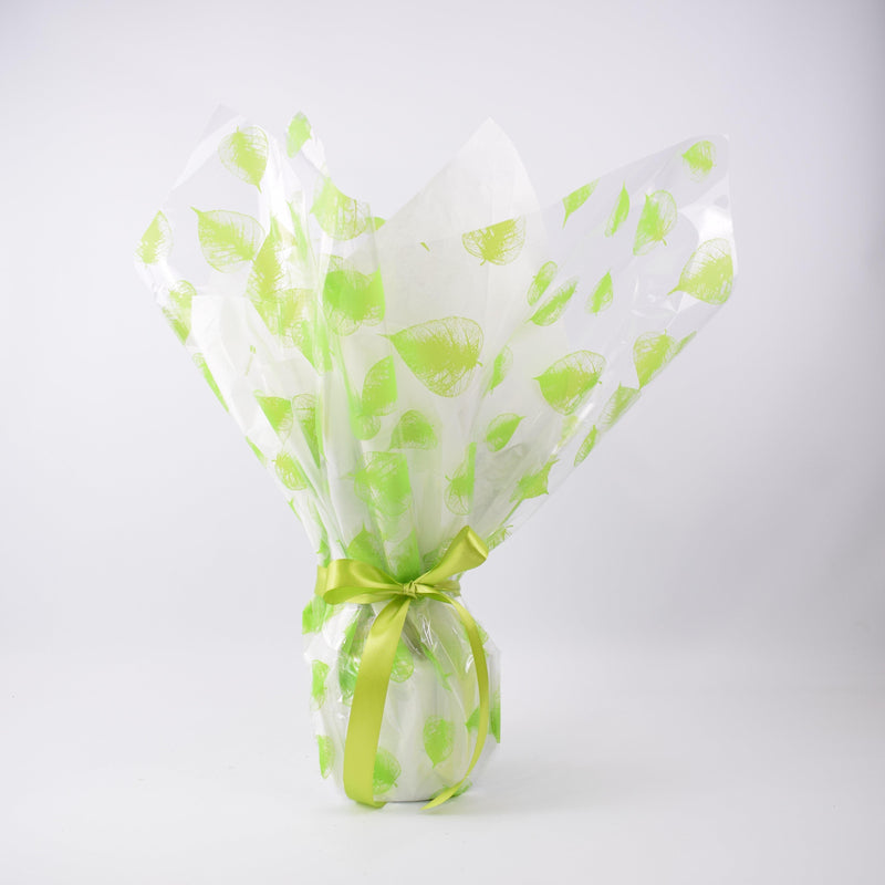 Gift Wrap